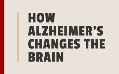 How Alzheimer’s Changes The Brain